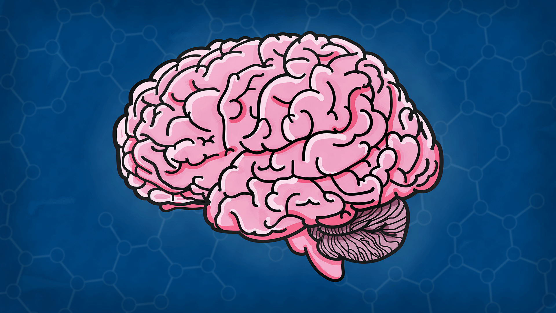 عکس مغز انسان نقاشی
