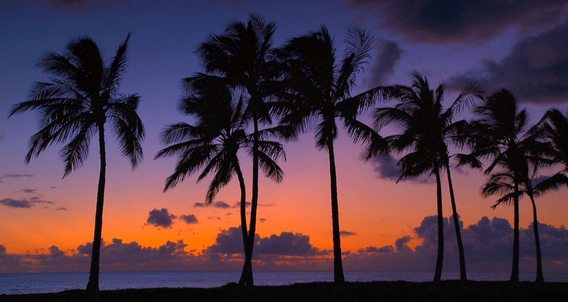 عکس طبیعت رویایی هاوایی برای پروفایل در شب