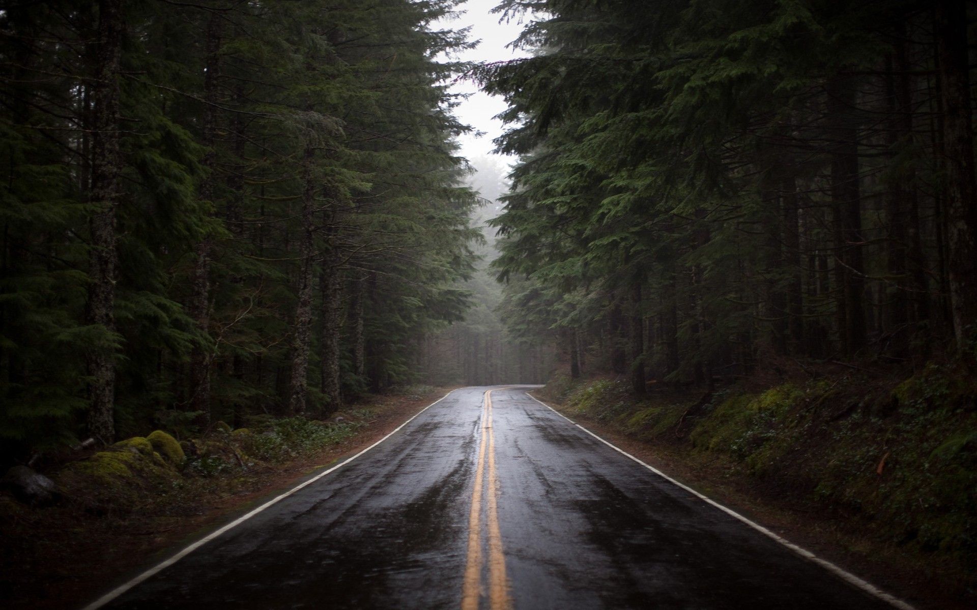 دانلود تصویر زمینه عکس جاده ی بارانی برای ویندوز