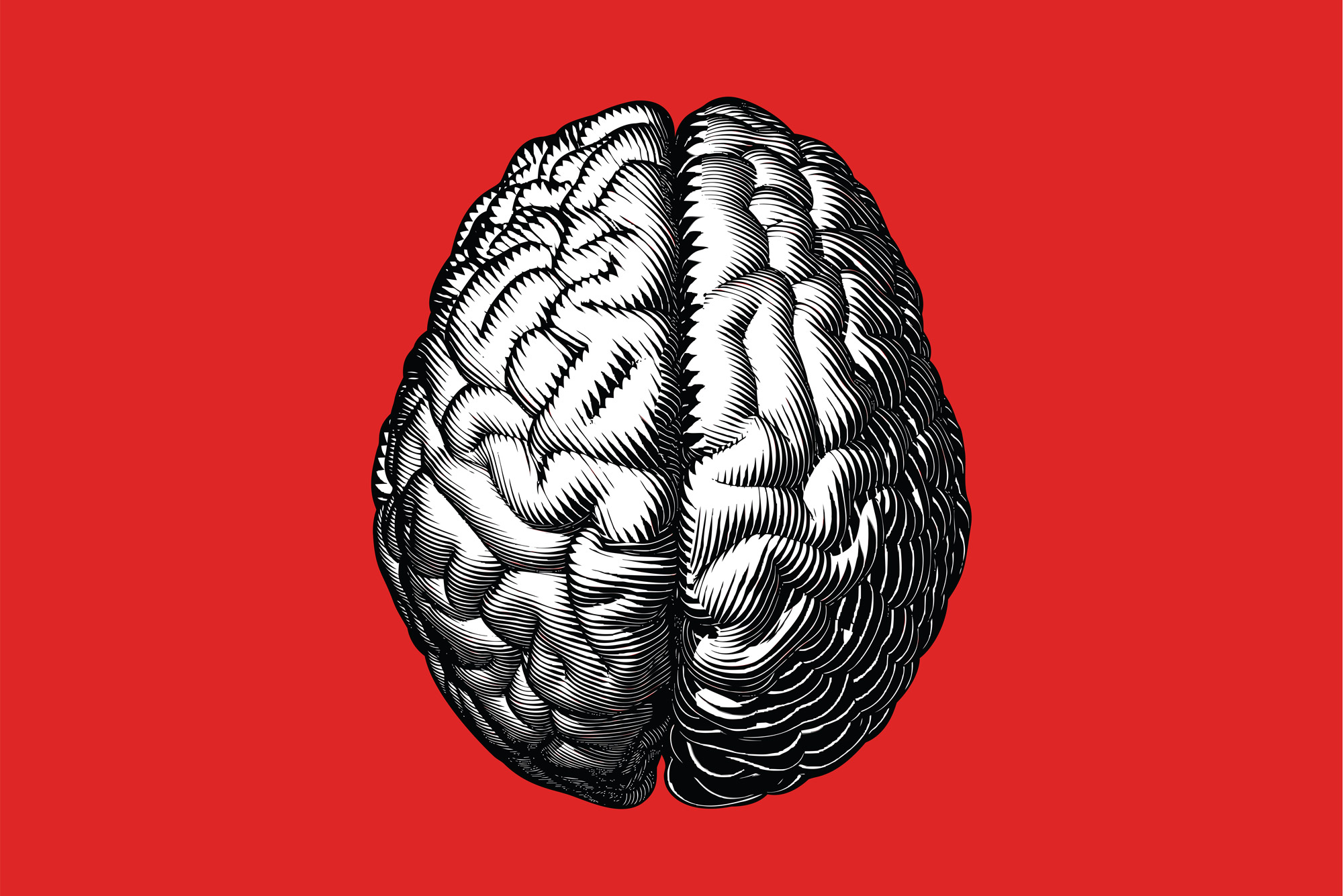 عکس مغز انسان با پس زمینه قرمز برای دانشجوهای متخصص مغز