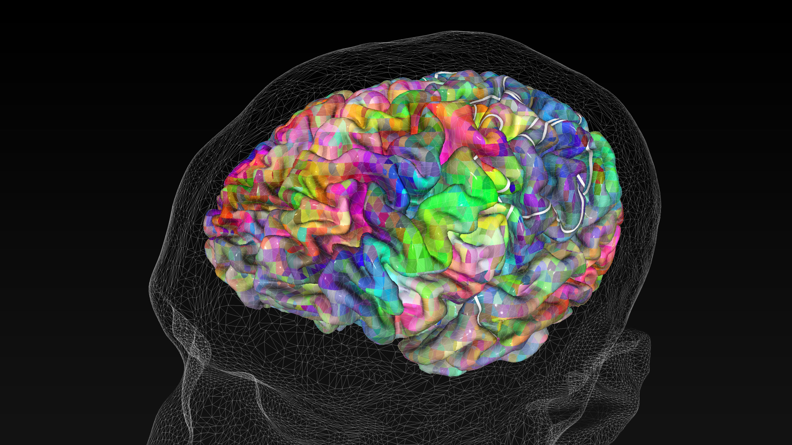 عکس مغز انسان برای تصویر زمینه دکتری و پزشکی