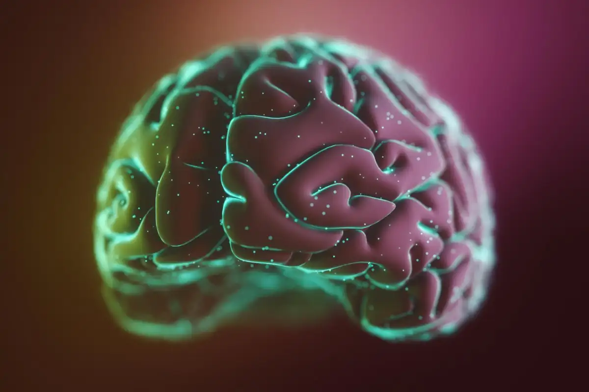 عکس مغز انسان برای چاپ به صورت رنگی