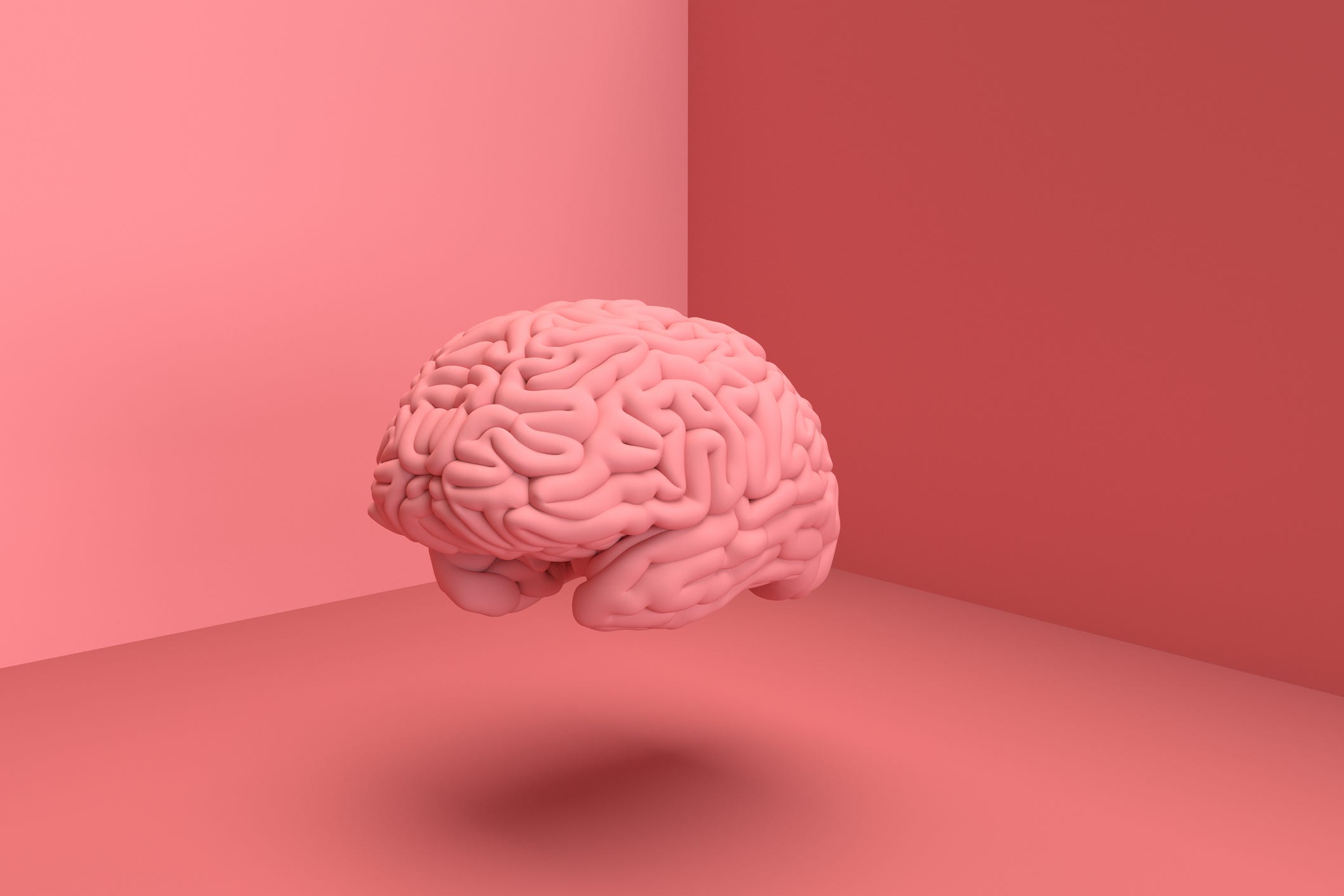 عکس مغز انسان برای پروفایل اینستاگرام