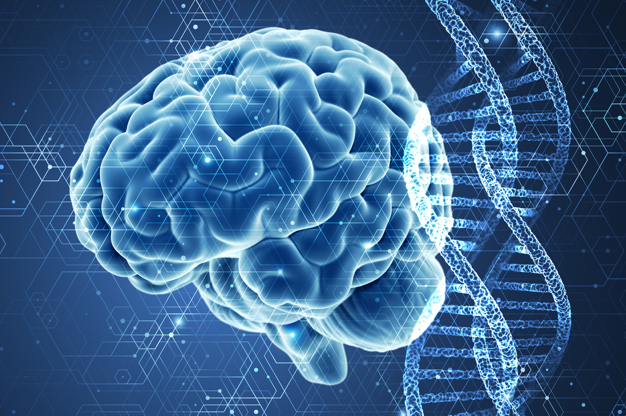 تصویر مغز انسان برای استفاده در مقاله های علمی
