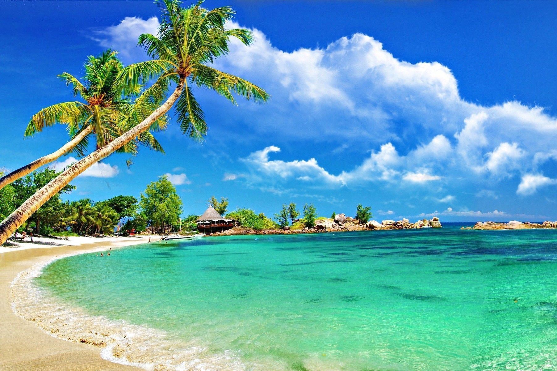 تصویر زمینه سواحل زیبای جزایر جامائیکا