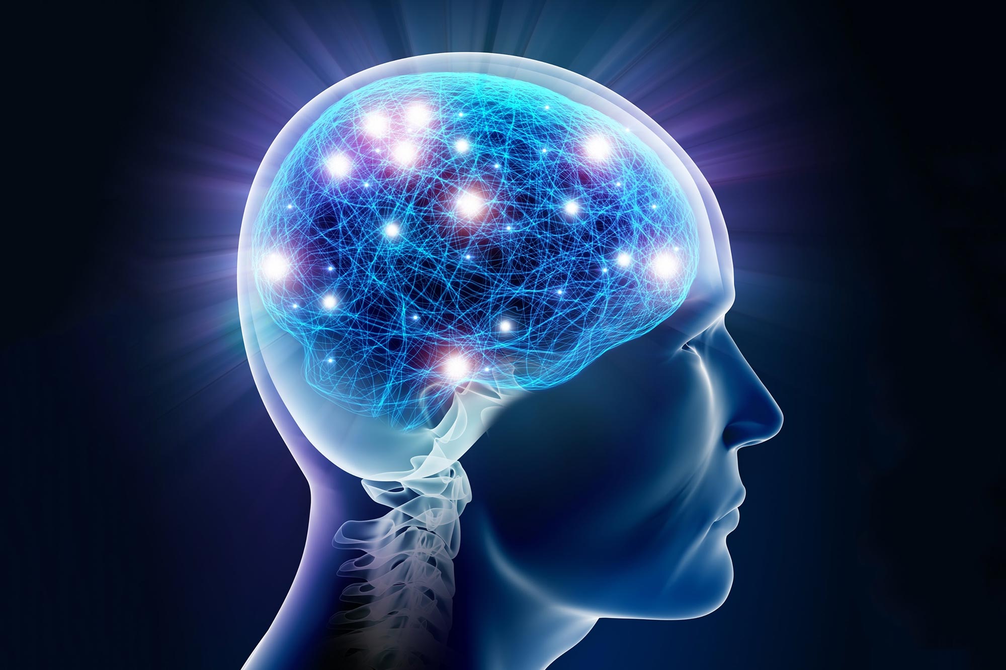 عکس مغز انسان برای استفاده در مقاله های آی اس آی