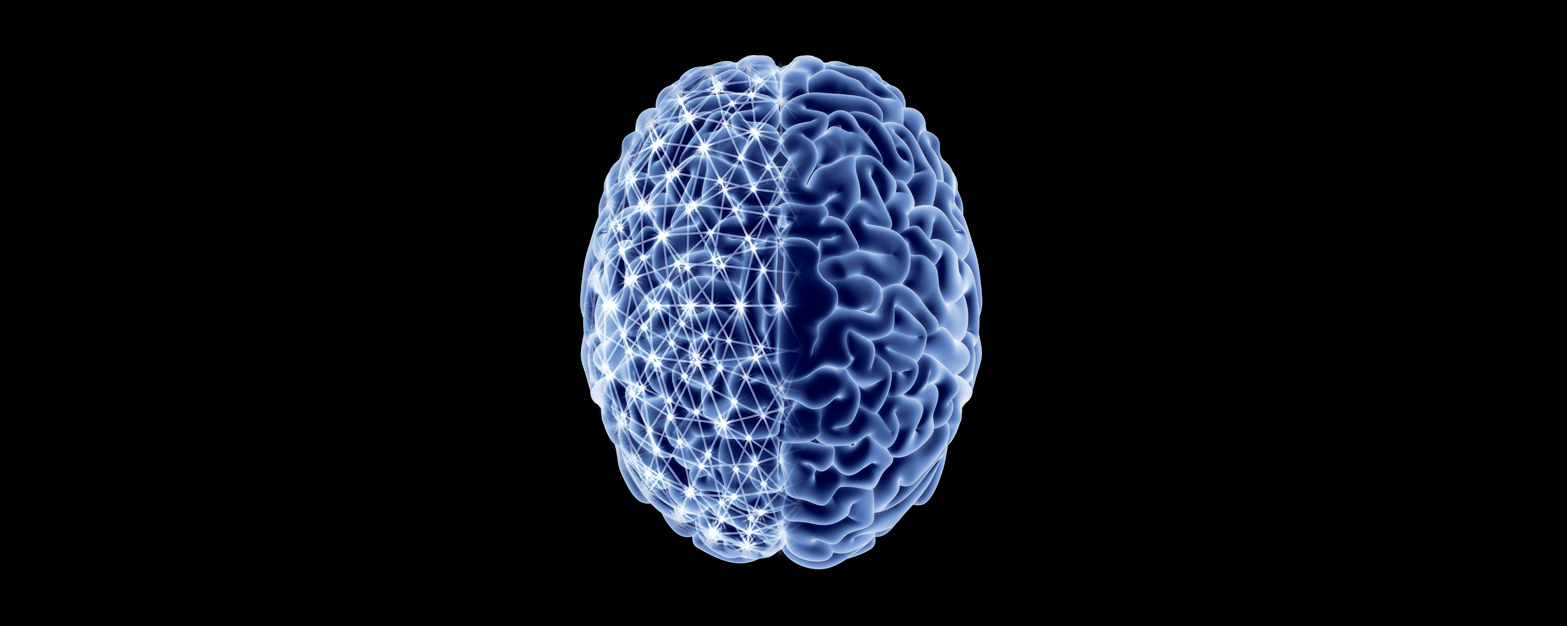 عکس مغز انسان برای نوشتن تحقیق
