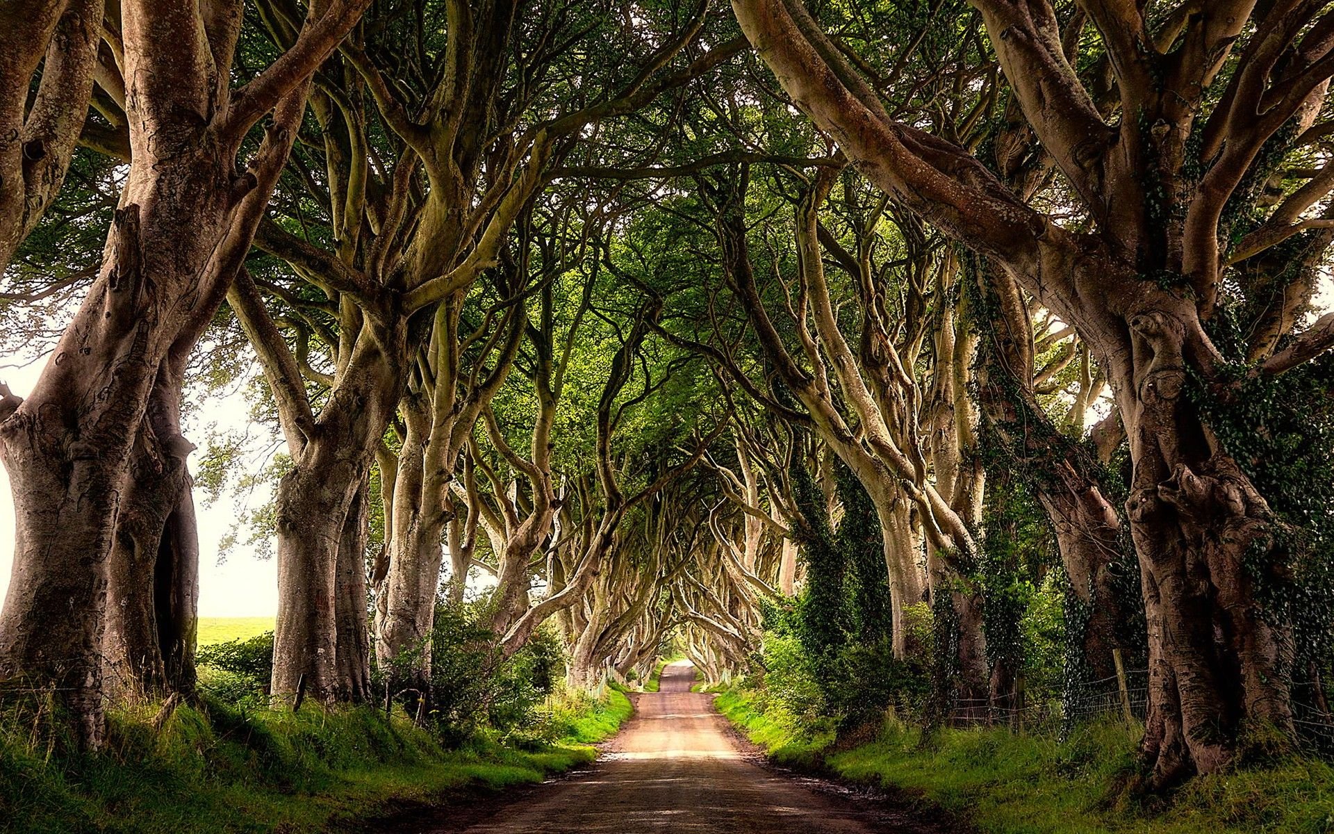 تصویر زمینه طبیعت زیبا کشور ایرلند