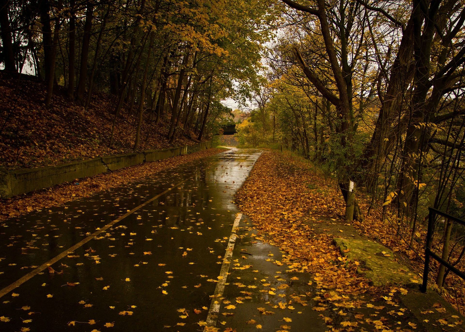 عکس جاده بارانی پاییزی 4k