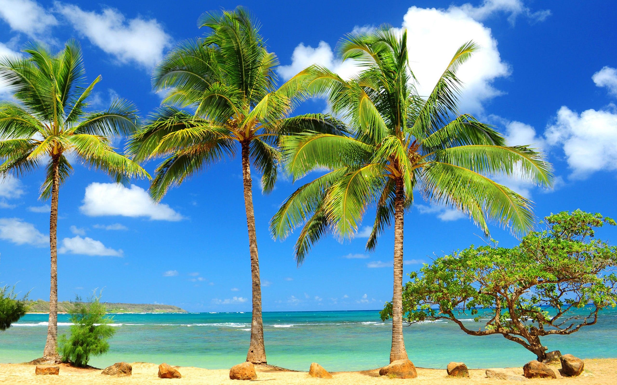 دانلود والپیپر جزایر زیبای هاوایی با کیفیت 4k