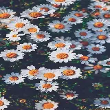چاپ قاب موبایل و گوشی والپیپر گل های بابونه مخصوص برای پس زمینه گوشی