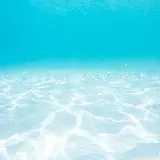 چاپ قاب موبایل و گوشی دانلود بک گراند زیر آب Underwater با کیفیت بسیار بالا