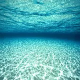 چاپ قاب موبایل و گوشی دانلود والپیپر دنیای زیر آب Underwater World با کیفیت فول اچ دی