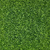 چاپ قاب موبایل و گوشی تصویر زیبا از تکسچر چمن واقعی