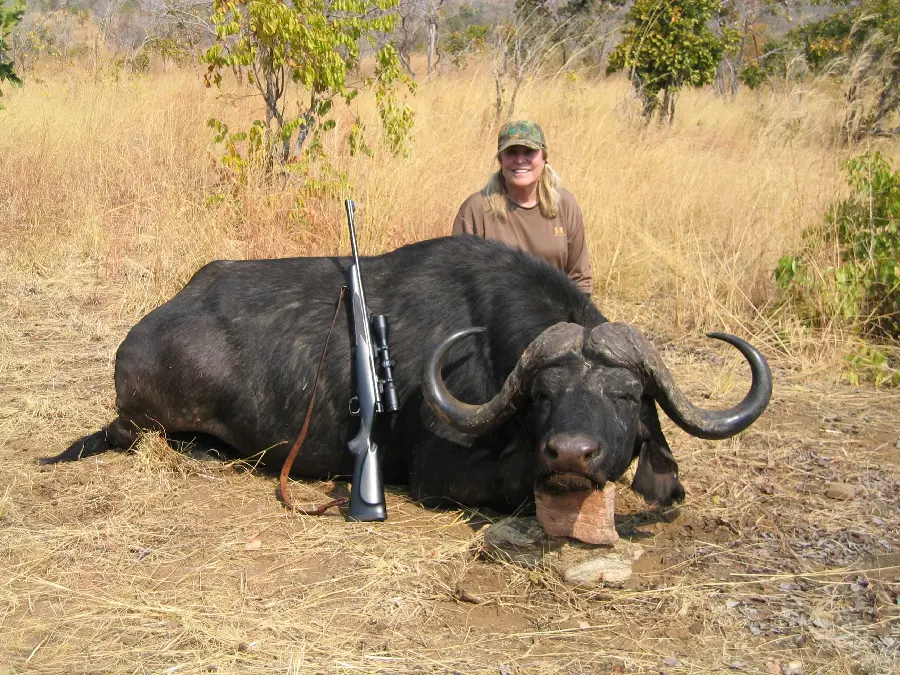 تصویری از بوفالو کشته شده و شکارچی