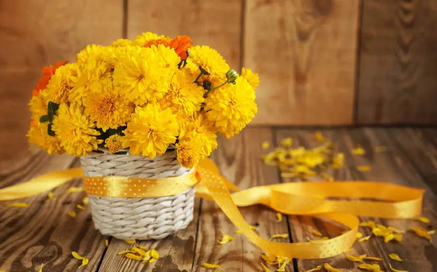 عکس پروفایل دخترونه و پسرونه باکس گل داوودی شیک و لاکچری
