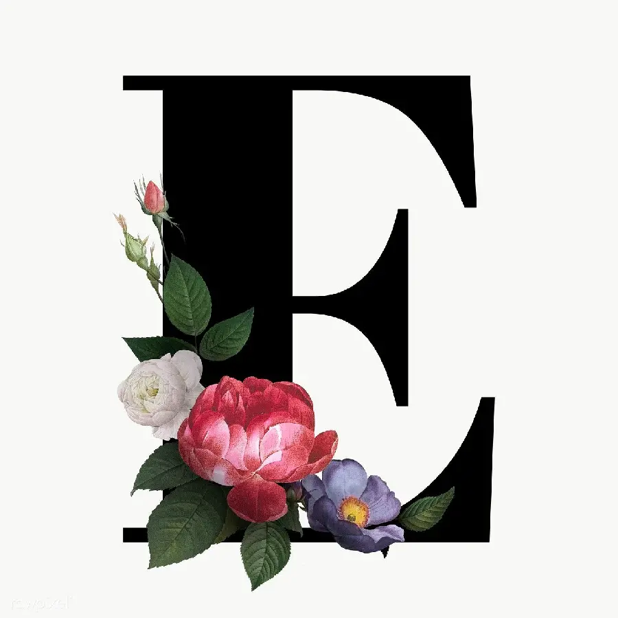 لوگوی خاص و جالب توجه از حرف انگلیسی E با کیفیت بالا 