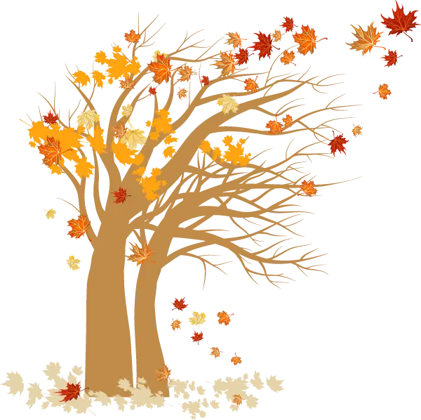 تصویر زمینه PNG از درخت پاییزی با تم کارتونی ملیح