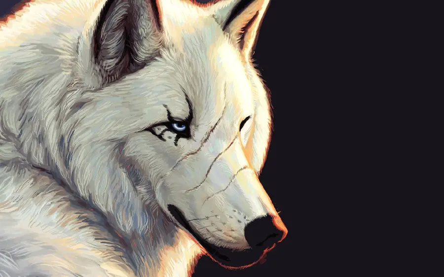 عکس دیجیتالی از گرگ سفید و زخمی با زمینه مشکی 