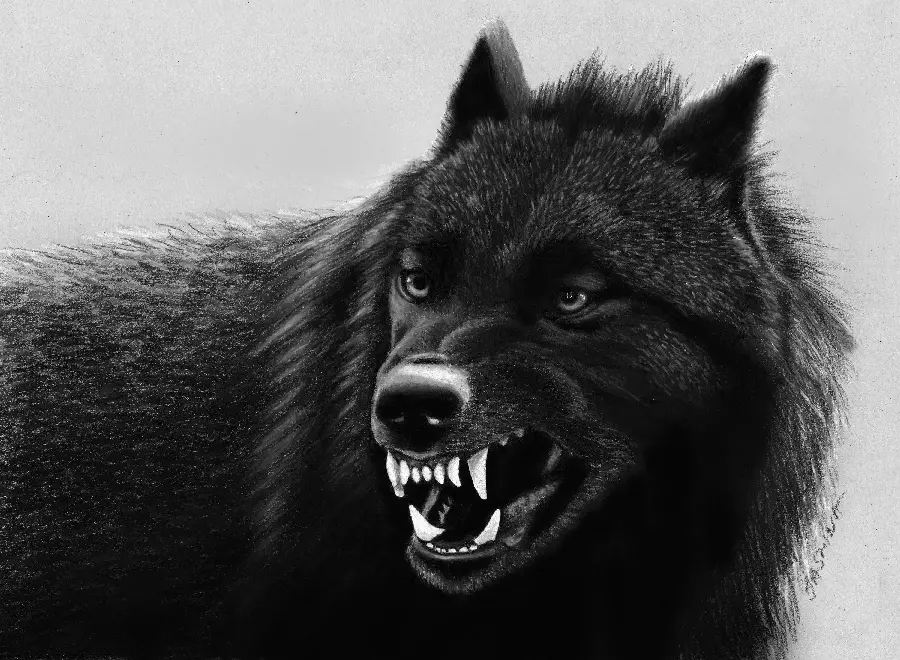 تصویر فانتزی از گرگ وحشی با دندان تیز و برندە باکیفیت عالی مناسب گوشی