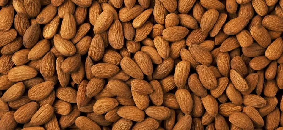 بکگراند مغز بادام با رنگ جذاب، زیبا و بافت شیک و باکیفیت خوب