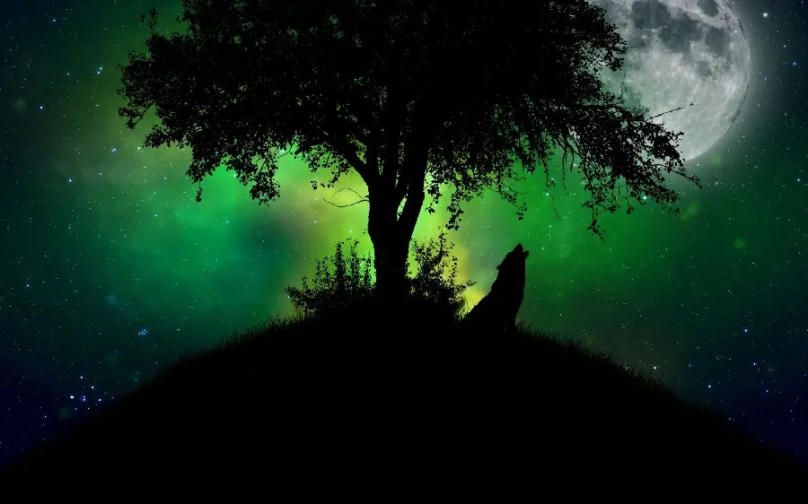 عکس انیمە از گرگ در حال زوزە کشیدن مقابل ماە و کنار درختی و آسمان سبز رنگ