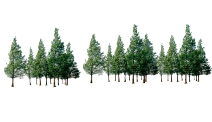 دانلود تصاویر PNG درختان مناسب استفاده در فتوشاپ 
