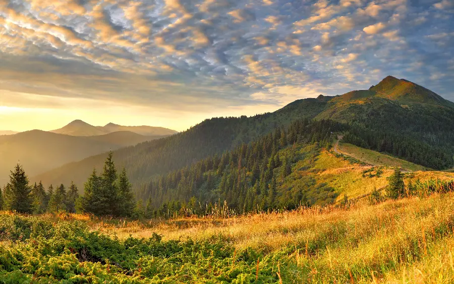 والپیپر بسیار زیبا از طبیعت و عکس منظره کوهستان و زمین‌های سبز و زرد رنگ