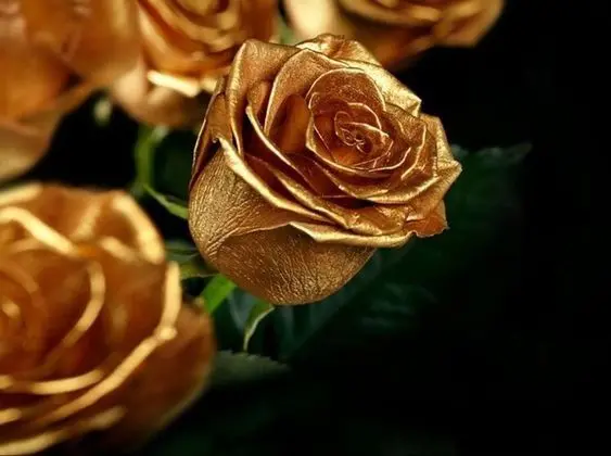  تصویر فانتزی و مصنوعی از گل‌های طلایی با برگ سبز خوش رنگ