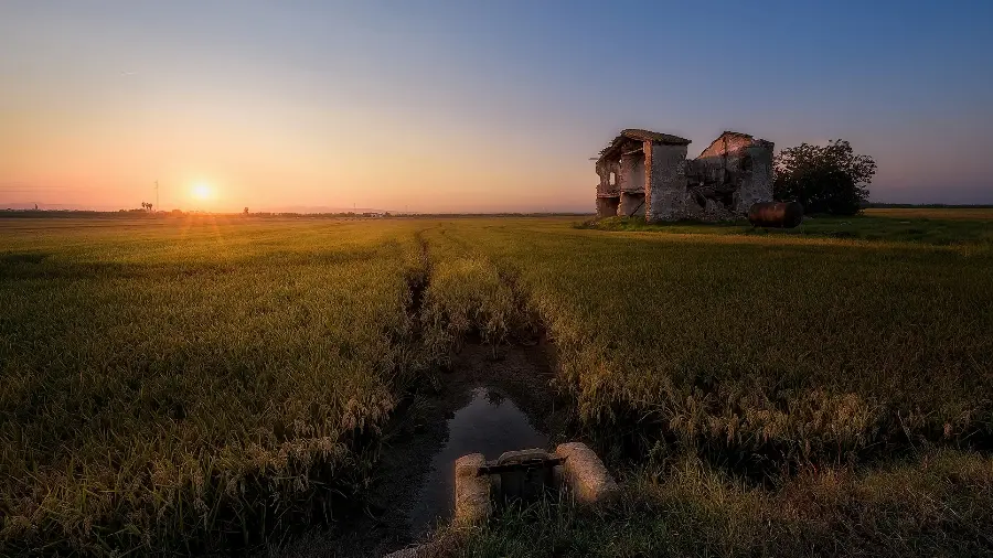 دانلود عکس زمینە جالب از مزرعە سبز و آبراەهایش در طبیعت غروب و عکس منظره خانە مخروبە