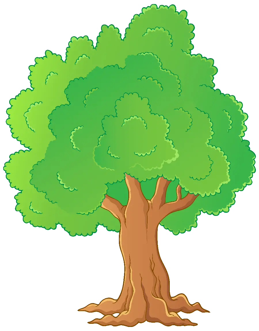 پربازدیدترین PNG کارتونی درخت سبز با جزئیات خاص و تماشایی 
