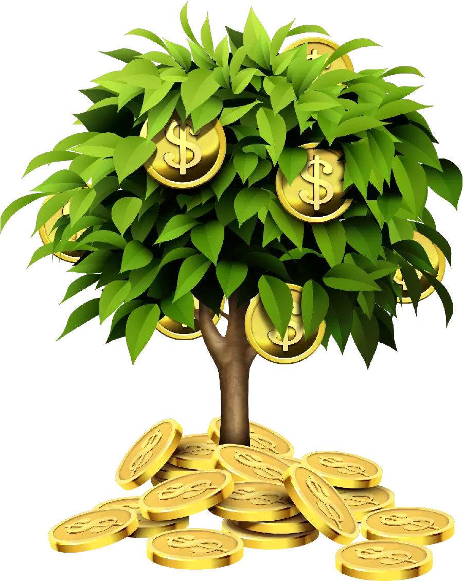 PNG پرطرفدار و رایگان از درخت پول و سکه با کیفیت بالا 