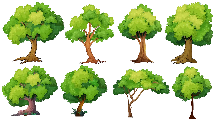 دانلود PNG معروف با طرح انواع درخت با کیفیت عالی 