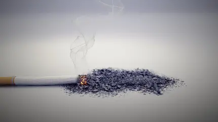 دانلود زمینە باکیفیت از خاکستر بە جا ماندە از دود سیگار فرد سیگاری