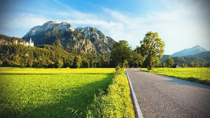 نمای جالب از جاده در دل طبیعت سرسبز برای زمینه لپتاپ و کامپیوتر 