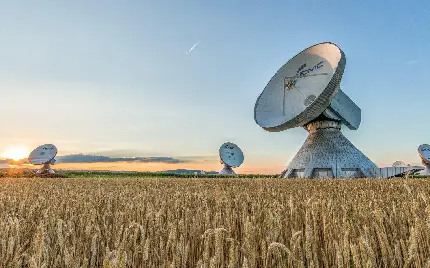 تصویر 4K زیبا از بشقاب ماهواره بزرگ در گندمزار