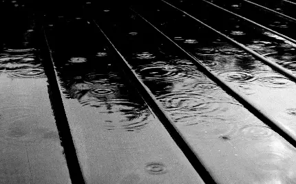 نمای هنری و خاص از بارش قطرات زیبای باران با هاله رنگی سیاه سفید