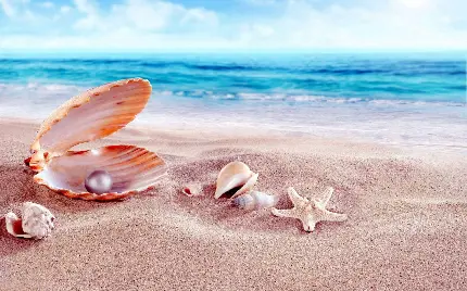 تصویری زیبا برای پس زمینه از صدف و مروارید داخلش در کنار ساحل