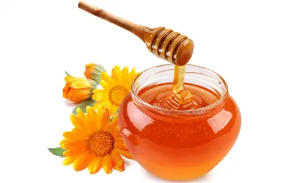 معروف ترین تصویر از عسل برای تبلیغات در فضای مجازی با کیفیت بالا 