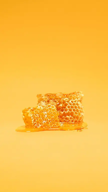 تازه ترین بک گراند عسل خوش طعم با تم زرد رنگ برای موبایل 
