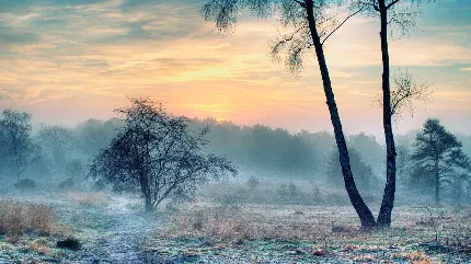 عکس استوک چشمگیر از طبیعت سرد سیبری با کیفیت HD 