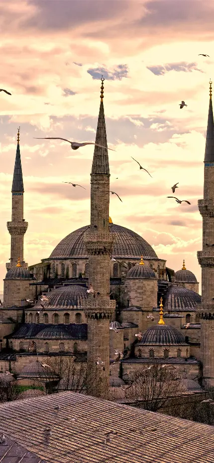 عکس مسجد آبی یا مسجد سلطان احمد یکی از جاذبه های گردشگری جهان