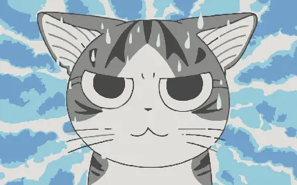 دانلود عکس پروفایل گربه عصبانی و بامزه برای واتساپ 