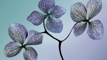 عکس استوک درخشان از گل کاغذی شفاف با کیفیت ویژه 
