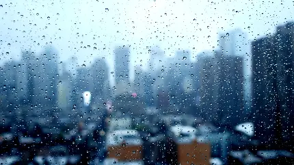 نمای شهر باران زده و غم انگیز با تم کدر و آبی با کیفیت HD 