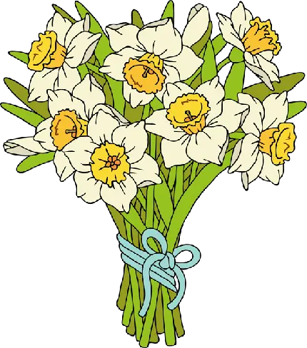 عکس دوربری شده و رنگ شدە از دستە گل بستە شدە با نخ آبی از گل نرگس باکیفیت بالا png