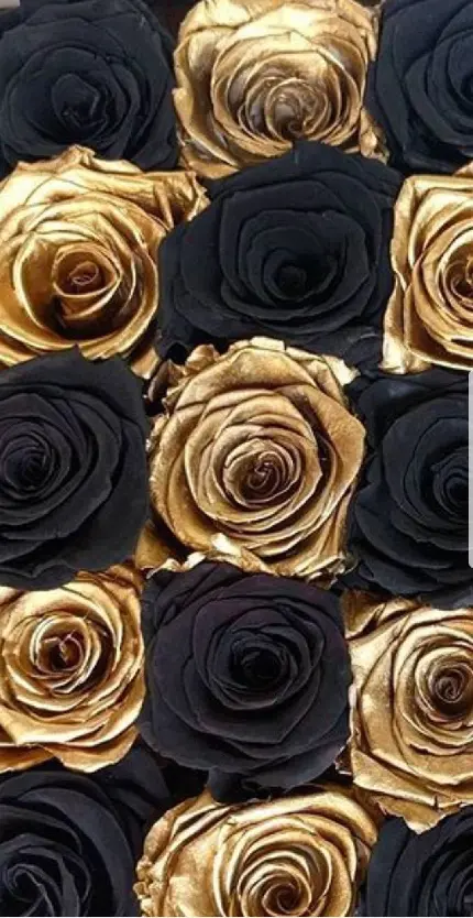 پوستر فانتزی باب روز با چینش خاص از گل‌های رز طلایی و سیاە