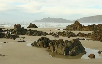 والپیپر طبیعت دیدنی ساحل دریا با کیفیت HD برای کامپیوتر 