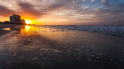 دلنشین ترین پس زمینه غروب دریا برای ویندوز 11