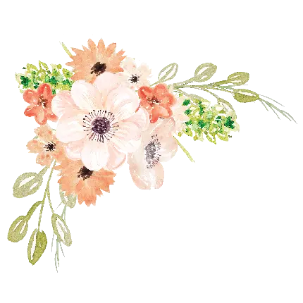 دانلود وکتور گل زیبا به رنگ صورتی ملایم مخصوص پاورپوینت 